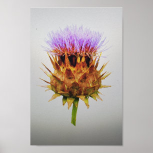 Poster O caroço da alcachofra