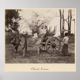 Póster O carro puxou por dois bois em Mandalay, Burma