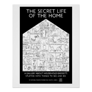 Póster O Cartaz da Vida Secreta da Casa