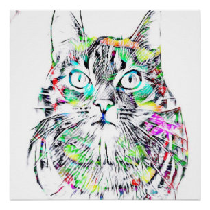 PÓSTER O CAT