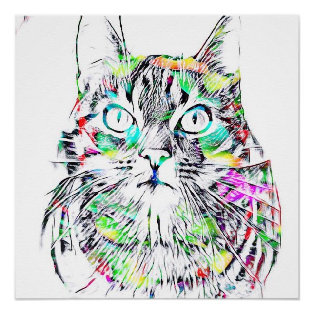 PÓSTER O CAT (Frente)
