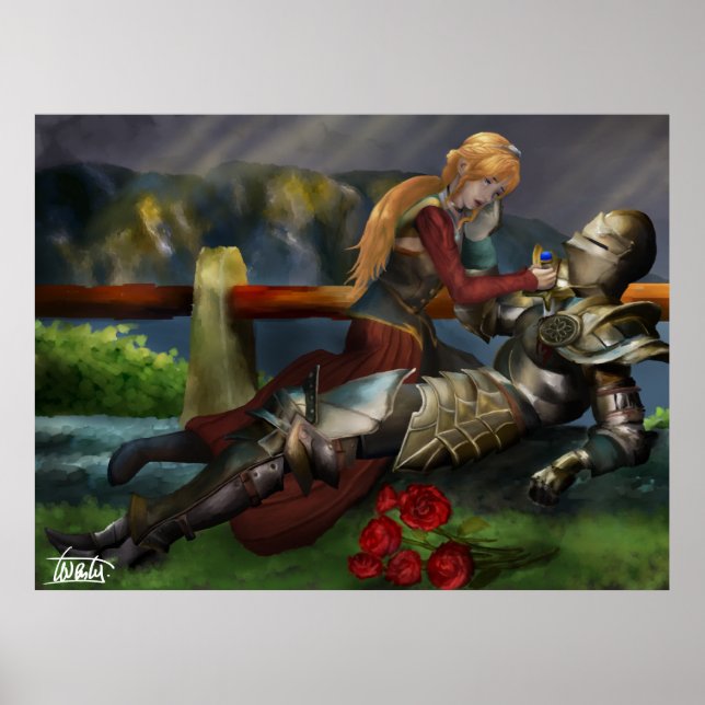 Poster O Cavaleiro e a Princesa (Frente)