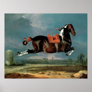 Poster O cavalo "Cehero" do animal malhado que eleva