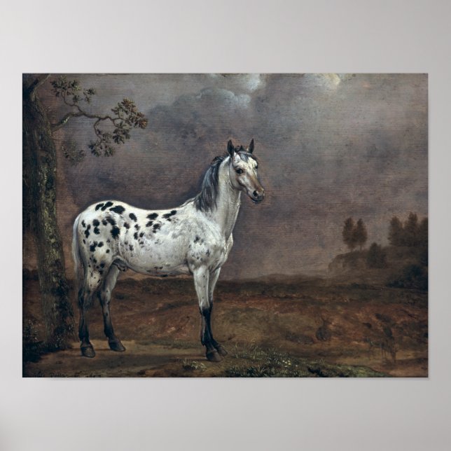 Póster O Cavalo Piebald, 1653 (Frente)