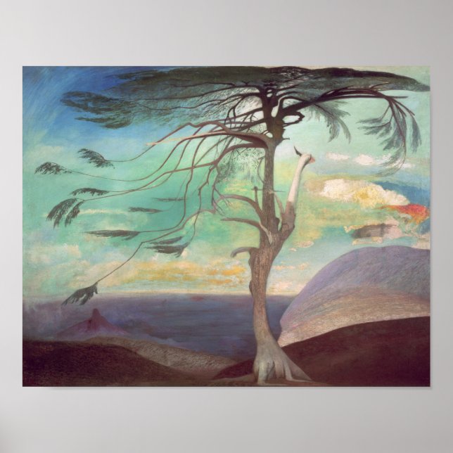 Poster O Cedar Solitário, 1907 (Frente)