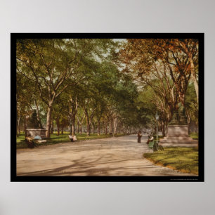 Póster O Central Park NYC 1900 da alameda