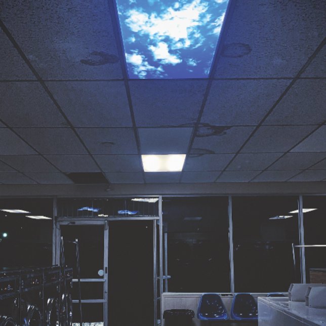 Póster o céu está caindo (Criador carregado)