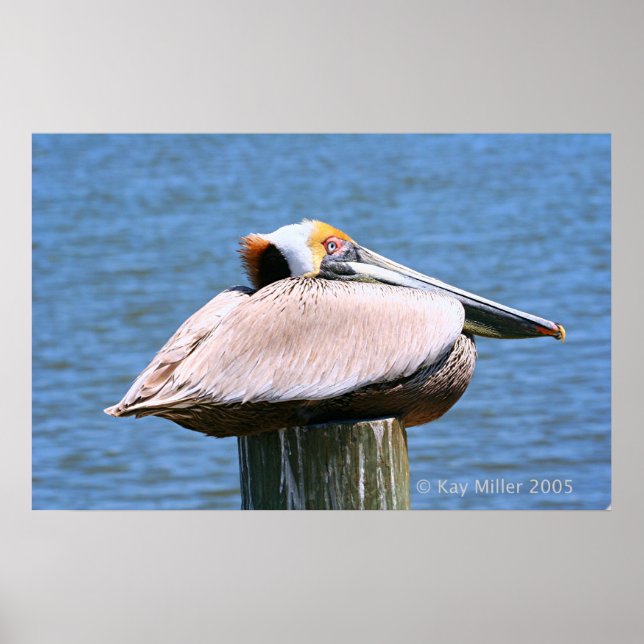 Póster O Chefe (Frente)