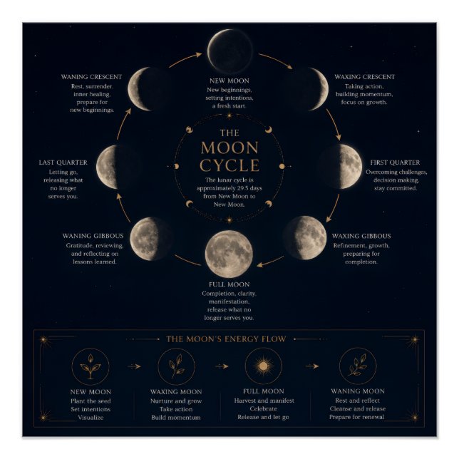 Póster O Ciclo da Lua & Significado das Fases (Frente)