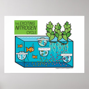 Poster O ciclo de nitrogênio emocionante