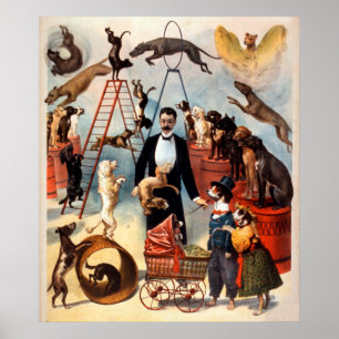 Poster O circo 1899 treinado do ato do cão persegue o