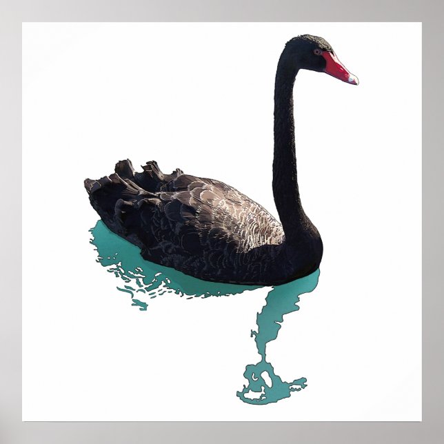 Póster O Cisne Negro (Frente)