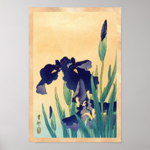 Poster O clássico ukiyo-e violet irises do japão japonês