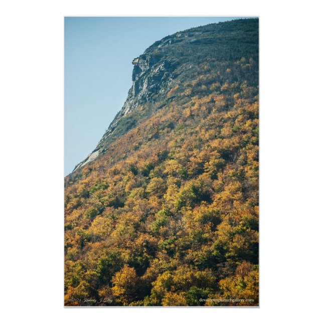 Póster O cobertor do outono (Frente)