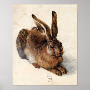 Póster O COELHO ( Lebre Jovem )