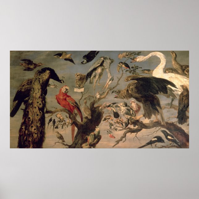 Póster O concerto do pássaro (Frente)