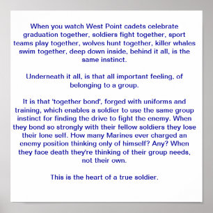 Póster O coração de um soldado verdadeiro