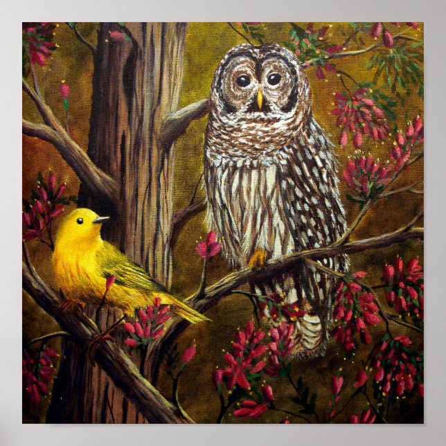 Póster O Coruja e as Canárias (Frente)