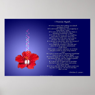 Póster O credo do optimista: Hibiscus inspirado