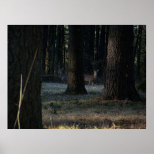 Póster O Deer Oculto