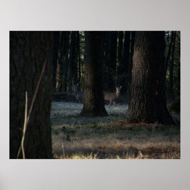 Póster O Deer Oculto (Frente)