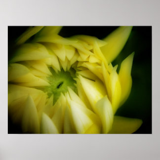 Poster O Desdobramento