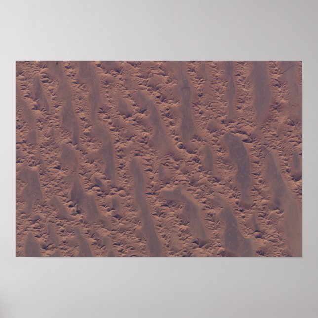 Póster O deserto argelino (Frente)