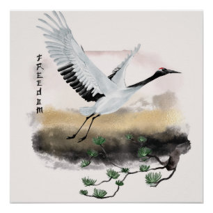 Póster O Design da Série Okinawa 12