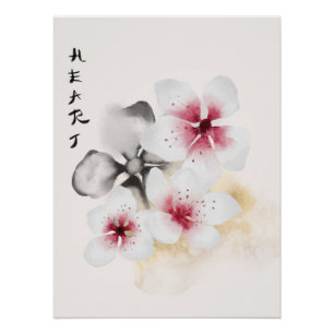 Póster O Design da Série Okinawa 13 