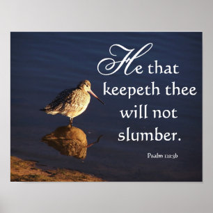 Poster O deus do pássaro da limosa dos pantanais