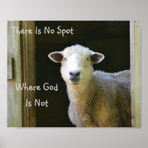 Poster O deus está em toda parte carneiros