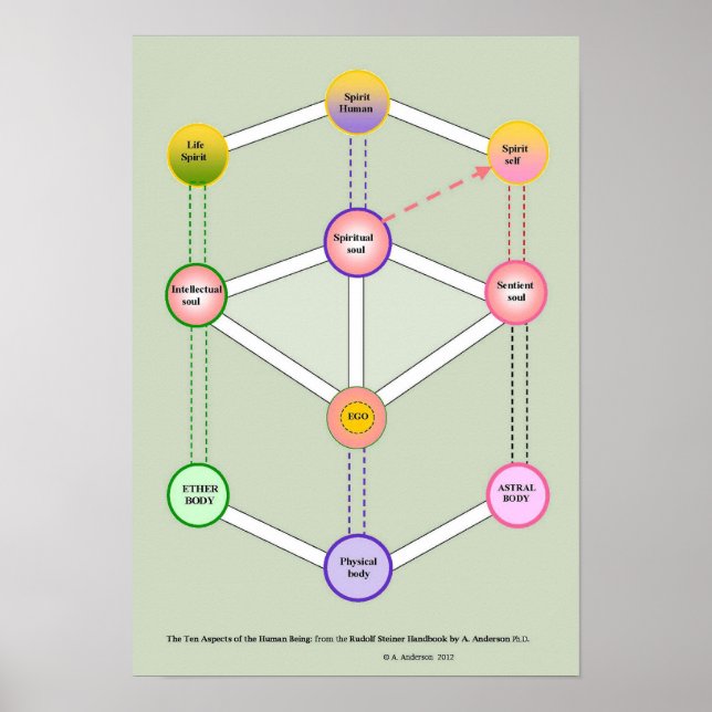 Póster O dez ser humano (Frente)