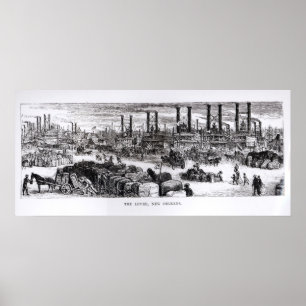 Póster O dique, Nova Orleães