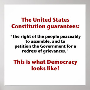 Póster O Direito de Reagrupamento - O que a Democracia pa