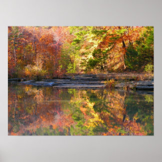 Póster O dobro da beleza