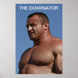 Poster O Dominador