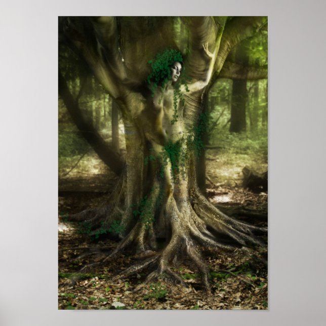 Poster O Dryad (Frente)