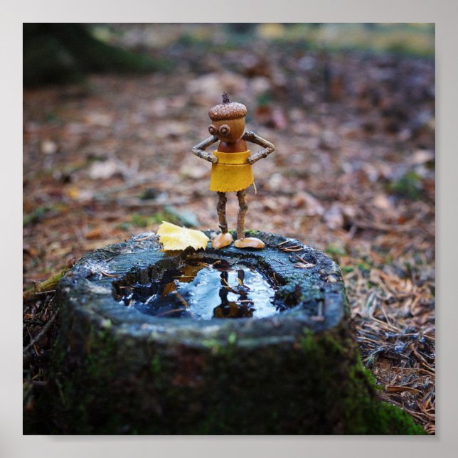 Poster O elfo da bolota vai endurecer (Frente)