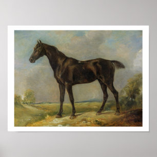 Póster O Equitação-Cavalo preto do polícia de Golding,
