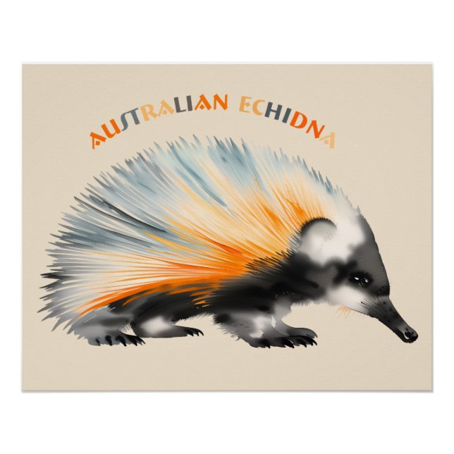 Póster O espinhoso Echidna australiano (Frente)