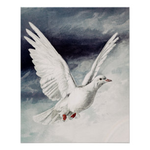 Póster O espírito sagrado na forma de uma pomba