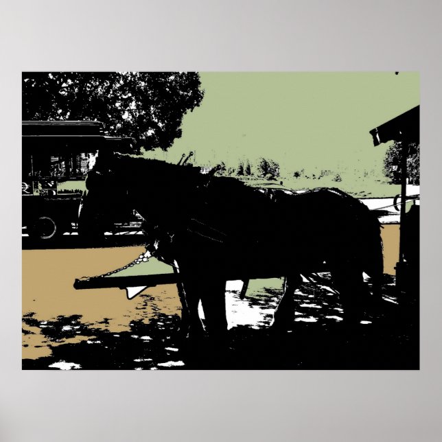 Póster O famoso Cavalo de Trolley do Stanley Park (Frente)