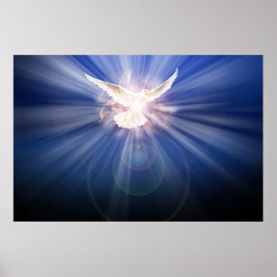 Póster o fantasma sagrado à luz