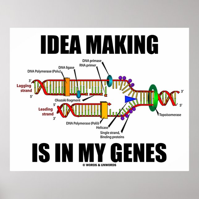 Póster O Fazer Idea Está em Meus Genes (Replicação De DNA (Frente)