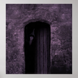 Póster O feiticeiro cauteloso