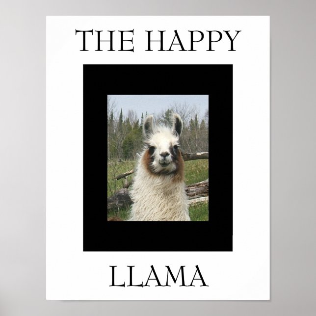 POSTER O FELIZ LLAMA (Frente)