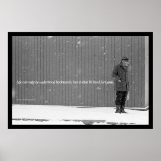 Póster O fim da vida