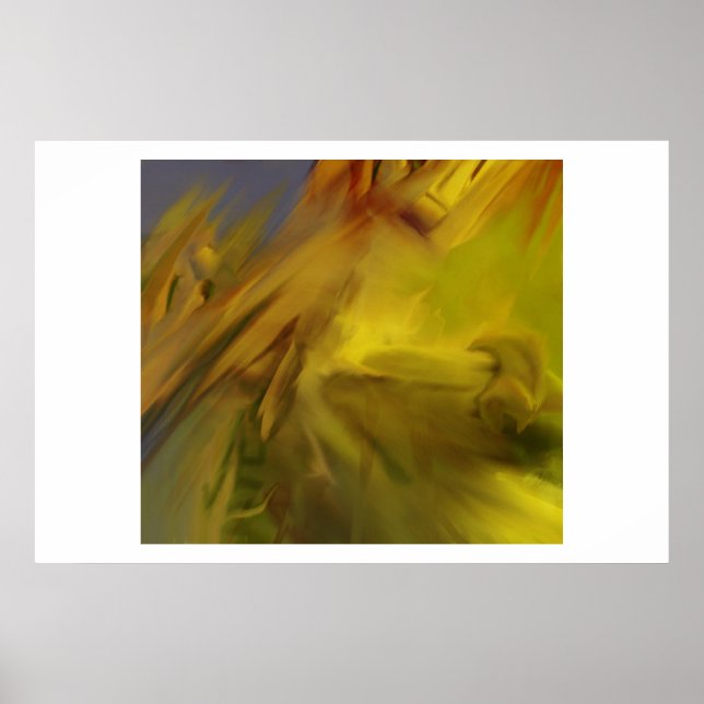 Poster O fogo de 2001 (Frente)