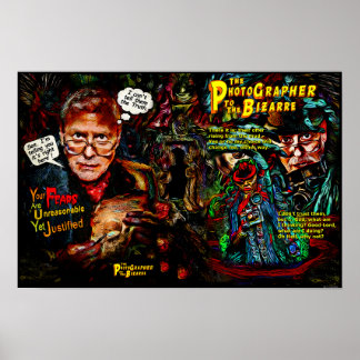 Poster O Fotógrafo Para A Origem Bizarra
