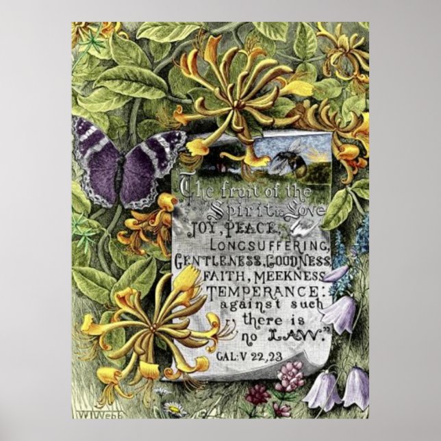 Poster O Fruto Do Espírito  (Frente)